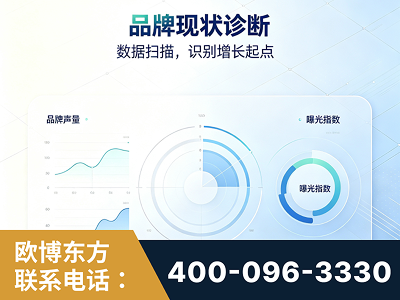 淄博-品牌现状诊断