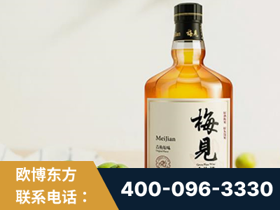 淄博-梅见青梅酒
